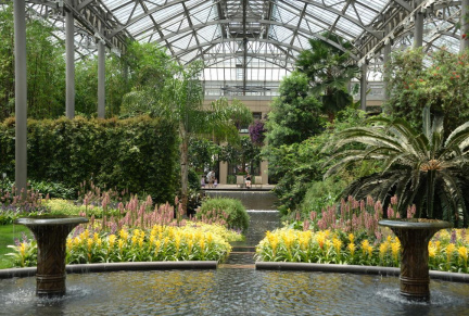 conservatory longwood gardens 26may18b
