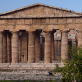 temple of hera II paestum 19oct17zac