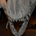resin tyrannosaurus rex drumheller 1638 31aug19za