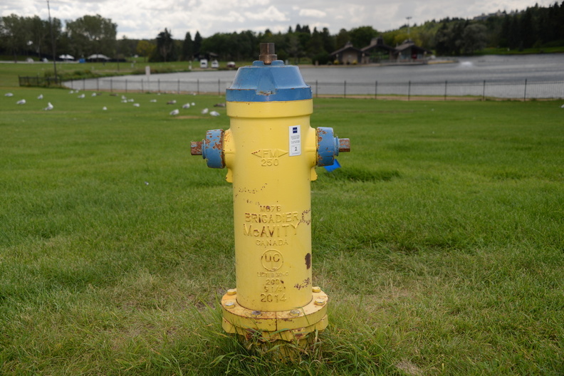 fire hydrant hawrelak park edmonton 0766 26aug19