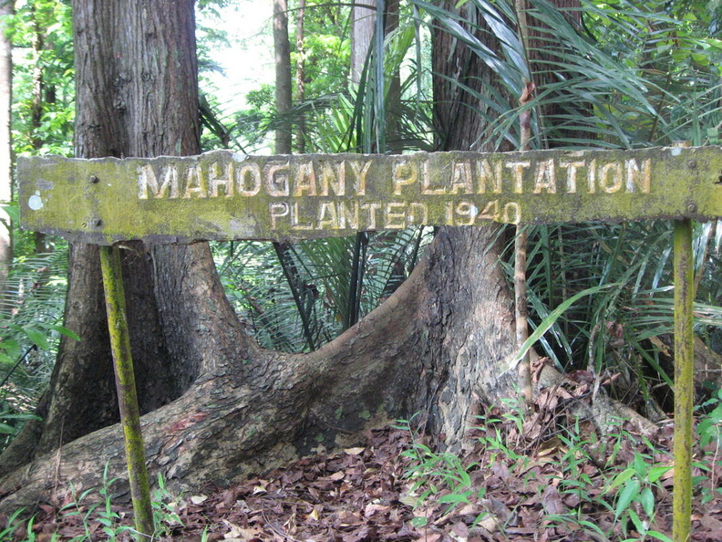 sign_mahogany_plantation_mount_makiling_1207_1apr10.jpg