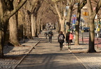 central park northward 97th and 5th ave new york 1391 11mar22