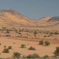 desert wadi el sebou 8049 5nov23zac 1