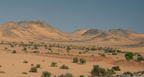desert wadi el sebou 8049 5nov23zac