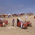 camel vendors at giza 7405 31oct23zac