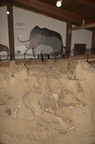 pit mammoth site hot springs south dakota 2139 20sep24zac