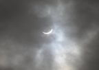 solar eclipse end selkirk shores state park 1955 8apr24